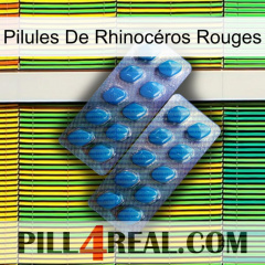 Pilules De Rhinocéros Rouges viagra2